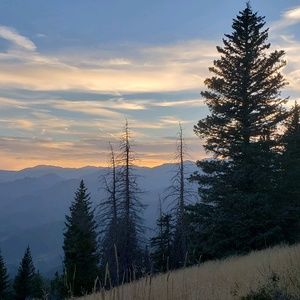 Meet your Posher, Jaye